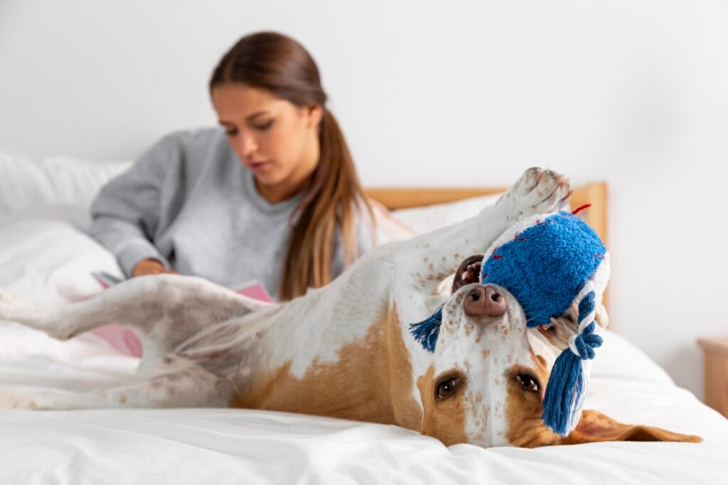A happy dog lying on a clean, allergen-free bed, playfully chewing a blue toy while its owner reads in the background. The fresh, pet-friendly environment highlights improved indoor air quality and cleanliness, ideal for Michigan homes using advanced cleaning systems.